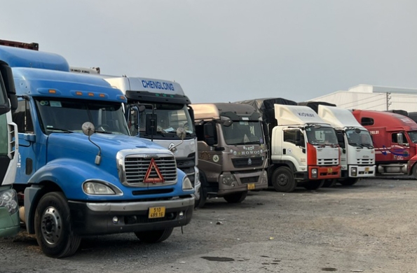 Thành Tiên Logistics